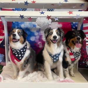 Memorial Day Photo Booth (2)