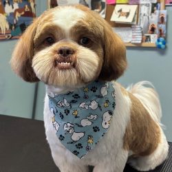 Severson, Chewy (yearbook)